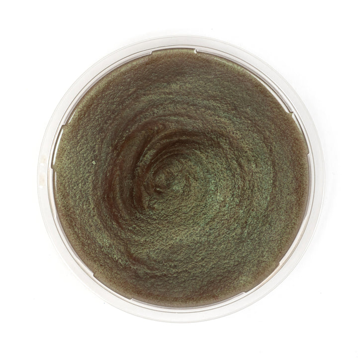 Tint Evolution Metallic Color Pigments 



