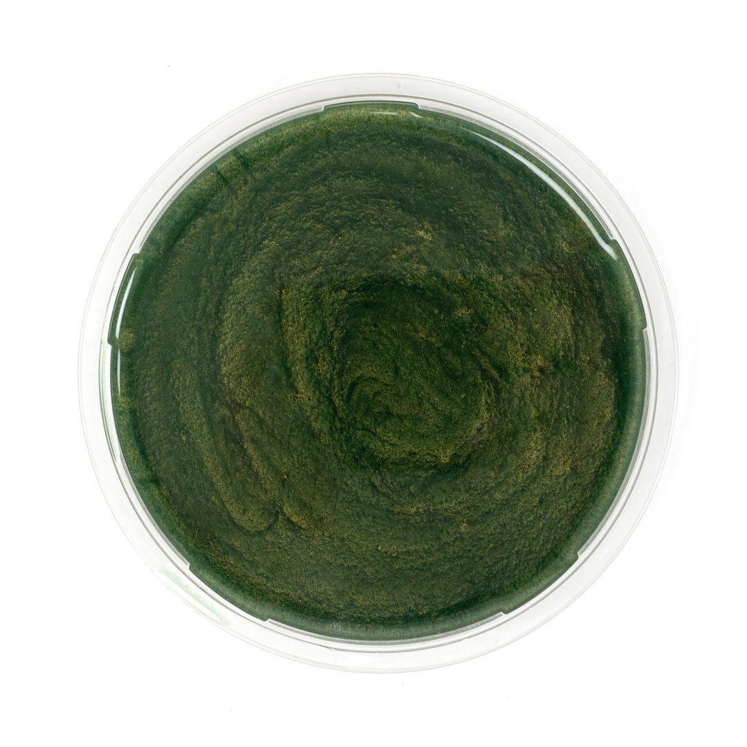 Tint Evolution Metallic Color Pigments 



