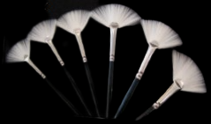 Bennett - Taklon Artist Brushes
